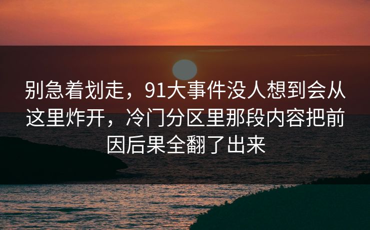 别急着划走，91大事件没人想到会从这里炸开，冷门分区里那段内容把前因后果全翻了出来
